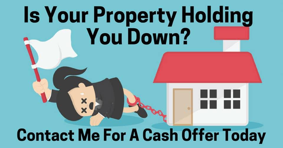 Alamo Property Investors LLC